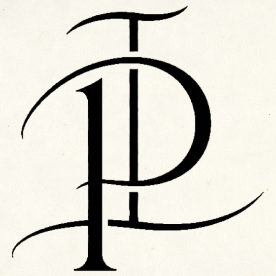 Pinnacle Insight Company emblem: the letters P and I above a mountain contour